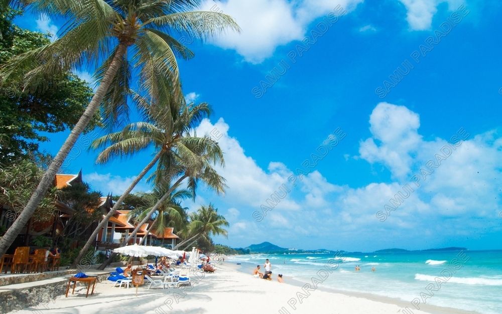 Samui Paradise Chaweng Beach Resort Εξωτερικό φωτογραφία