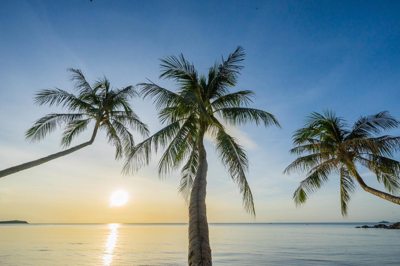 Samui Paradise Chaweng Beach Resort Εξωτερικό φωτογραφία